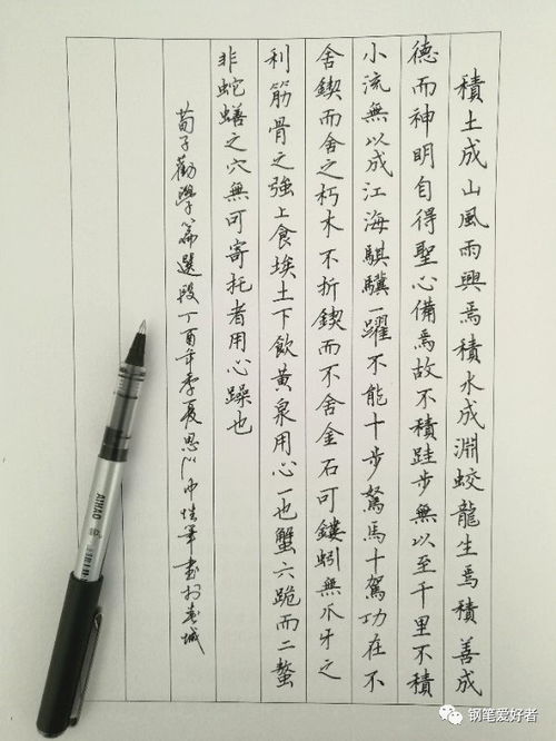 荀子.勸學 手寫鋼筆字筆友鋼筆書法習作欣賞