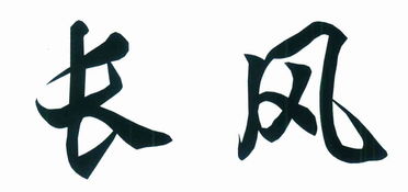長沙市天心區(qū)長鷹美發(fā)用品廠