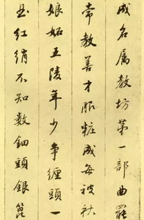 董其昌行書, 白居易琵琶行 有 顏骨趙姿 之美