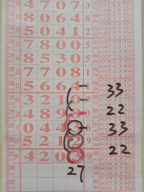 21294期排5海南特產(chǎn)大師拆獎圖規(guī)律——琵琶行解析