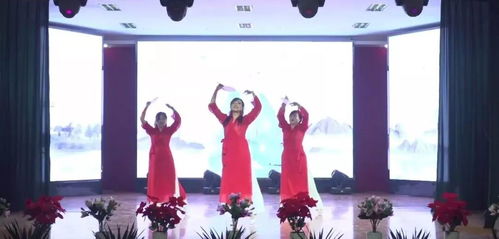 揚(yáng)帆起航新征程 攜手共筑天宇夢——天宇集團(tuán)迎新年文藝晚會集錦《琵琶行》